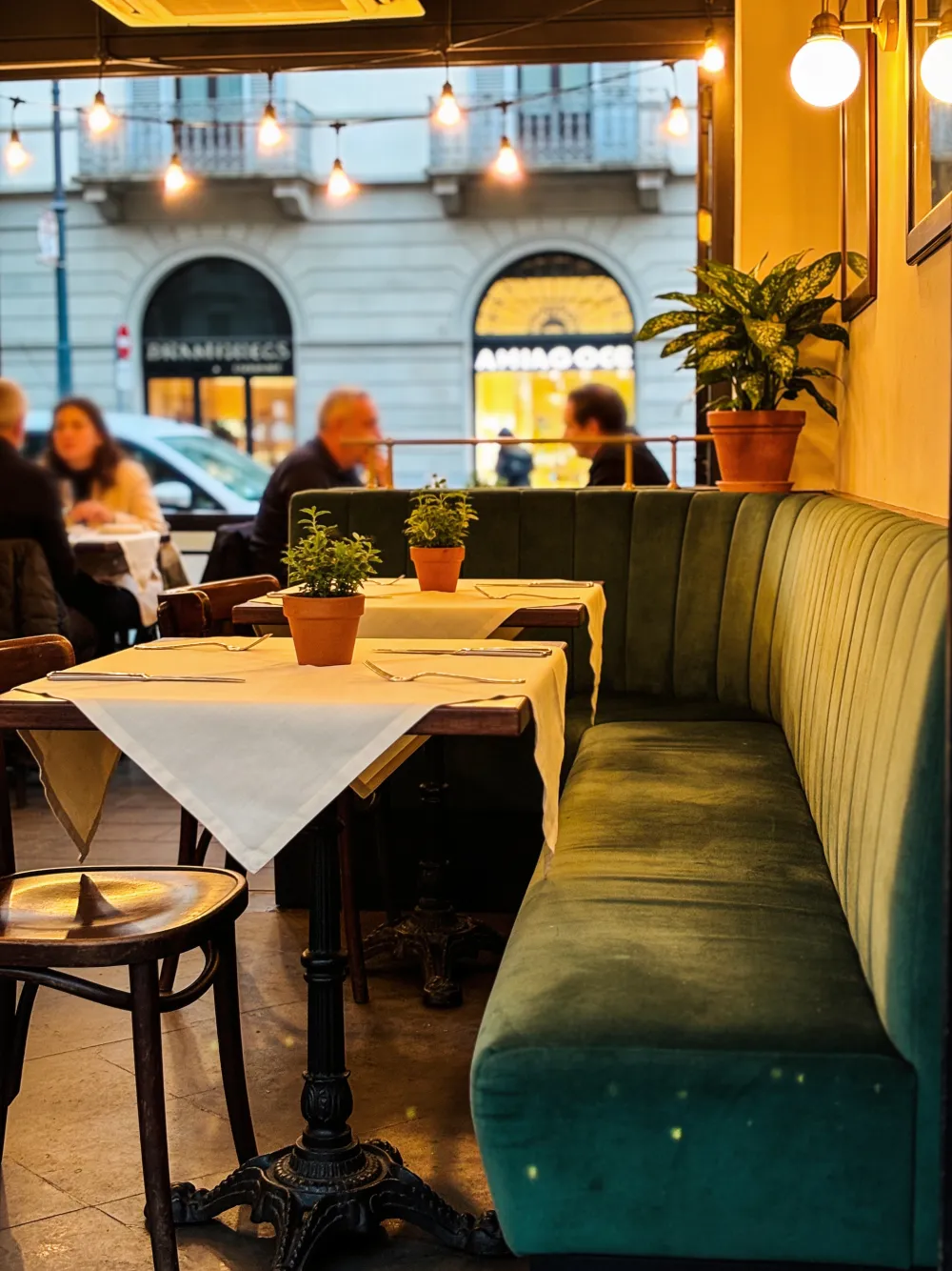 La sala con le panche imbottite, le piante e le luci sopra i tavoli